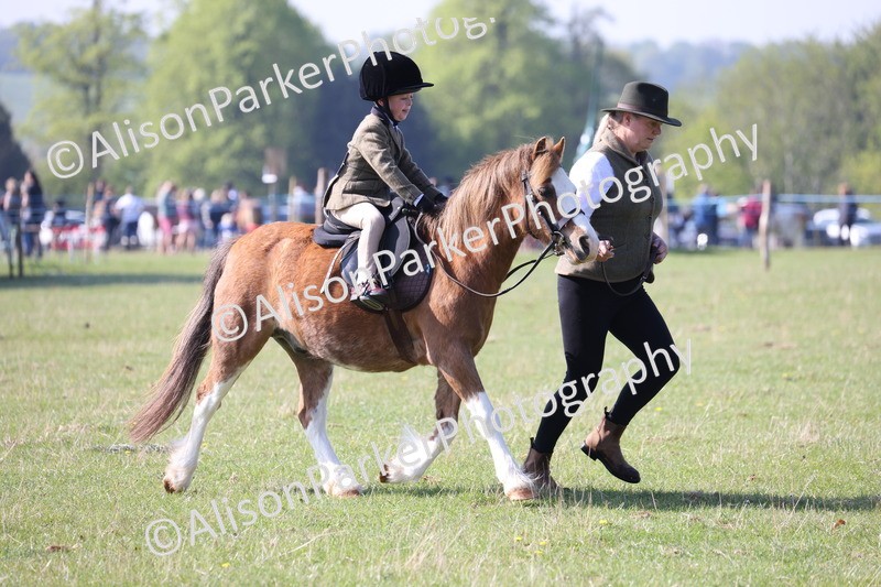 20250427-0161 - Class 30 - Tiny Tots Lead Rein