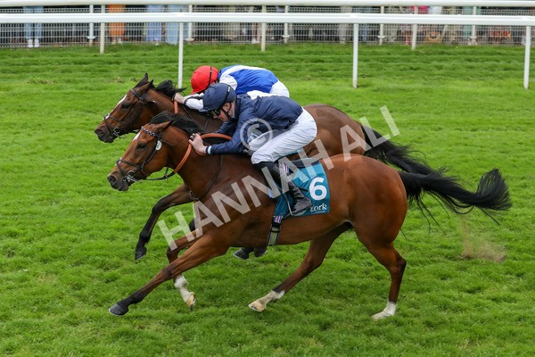 250524-Race 1-Tiriac-2975 - Race 1 1.35pm William Hill Keep Your Raceday Positive Handicap