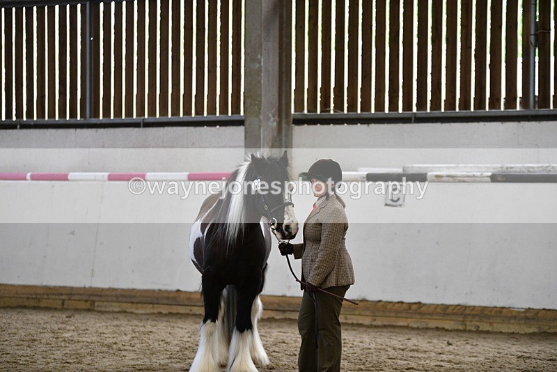 WJ5_5139 - Class 7 In hand coloured / odd coloured