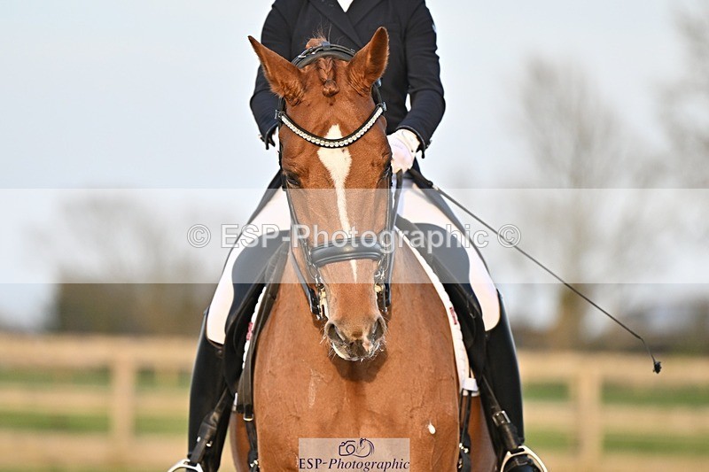 250404-185825-08753 - 195-Sarah.Millis-Impressive.VDC