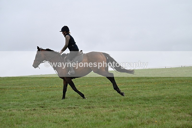 WJ7_9036 - Time 13:31 to 14:00