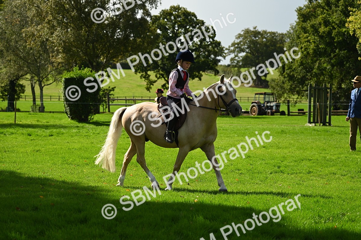 SBM_02736 - S3 - TSR Ridden Pony Showing