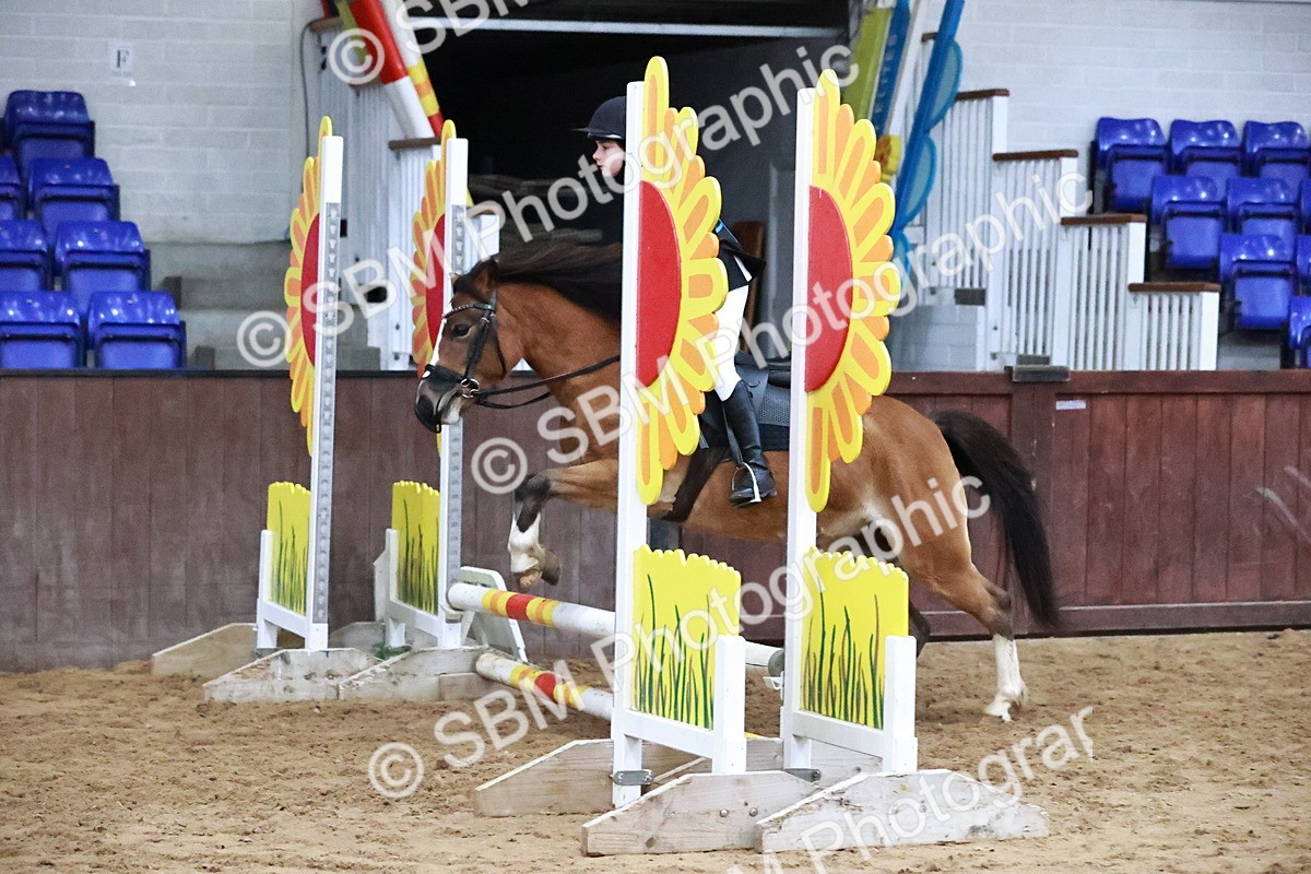 SBM_000630 - Class 2 - Show Jumping 50cm