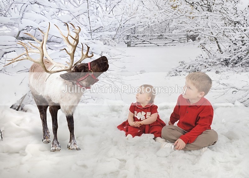 DSC_7009 - Libby bladen