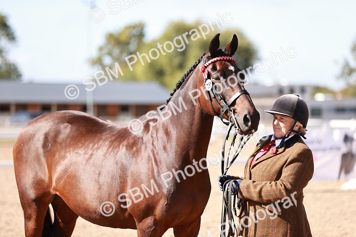 SBM_22827 - Class 705 - IH Combination 65+