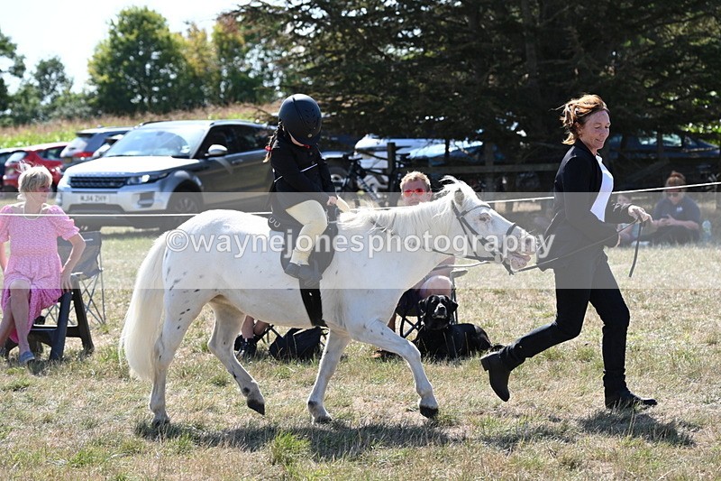 WJ6_7857 - Class 36 Lead Rein
