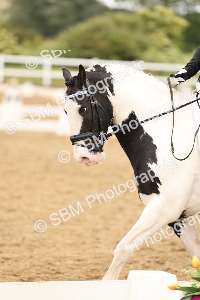 SBM_004864 - Class 6a - Novice 5 - 14.48-16.40