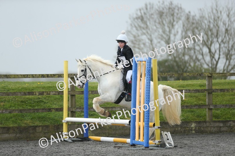 20260412-1878 - Show Jumping