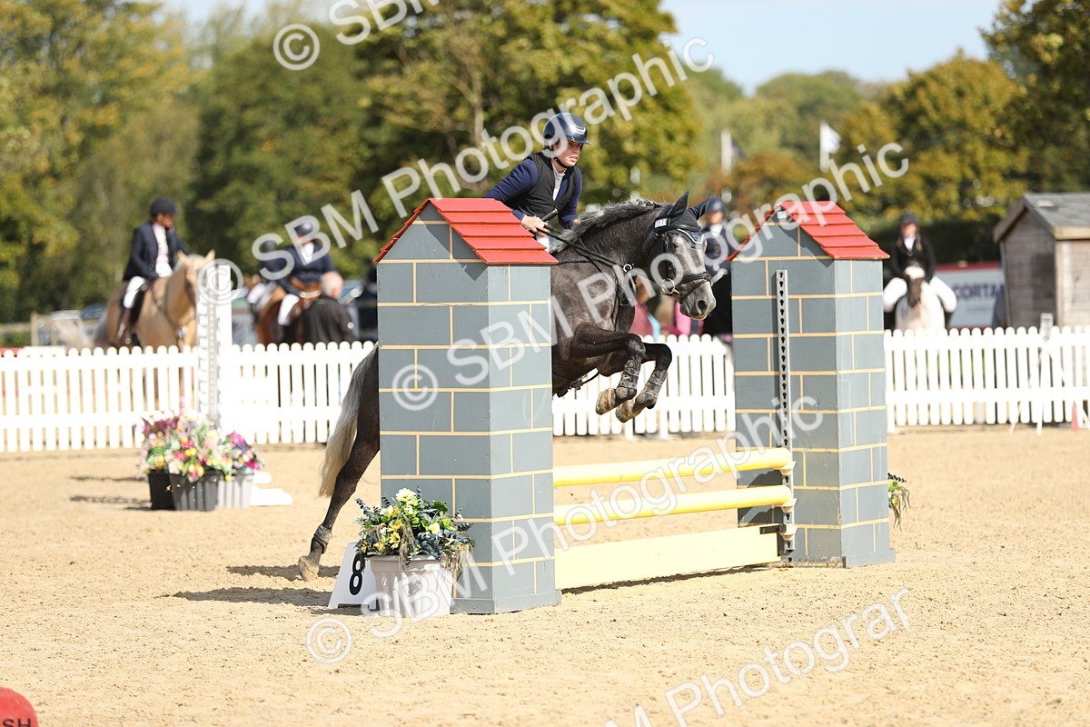 SBM_04673 - J28 - Senior Horse & Pony 60cm Championships