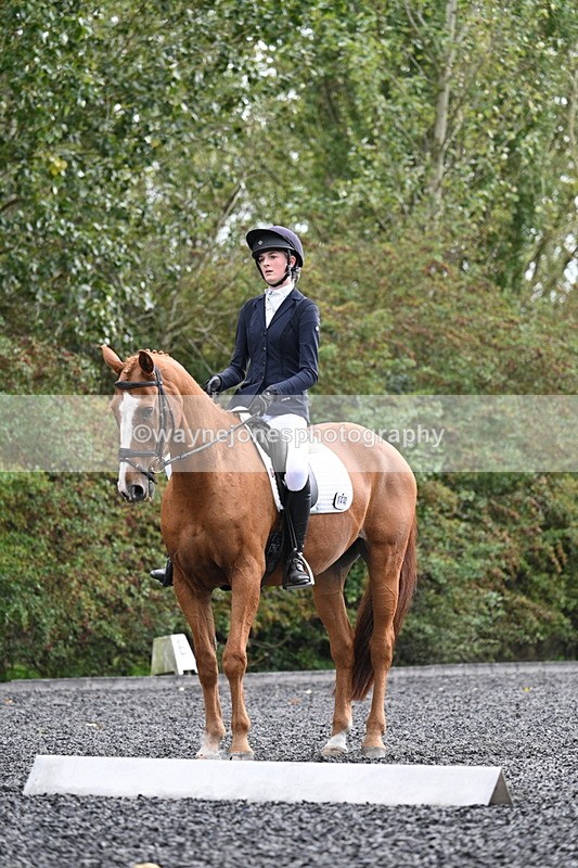 WJ7_6804 - Time 14:49 to 15:14