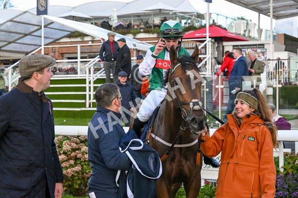 111024-Race 3-Minstrel Knight-1725 - Race 3 2.40pm William Hill Finale Handicap