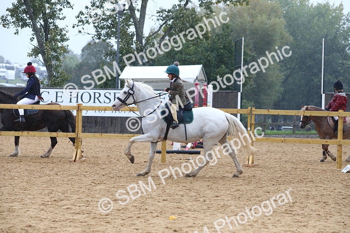 SBM_71472 - J4 - Mini Tour Junior Pony 45cm Championship
