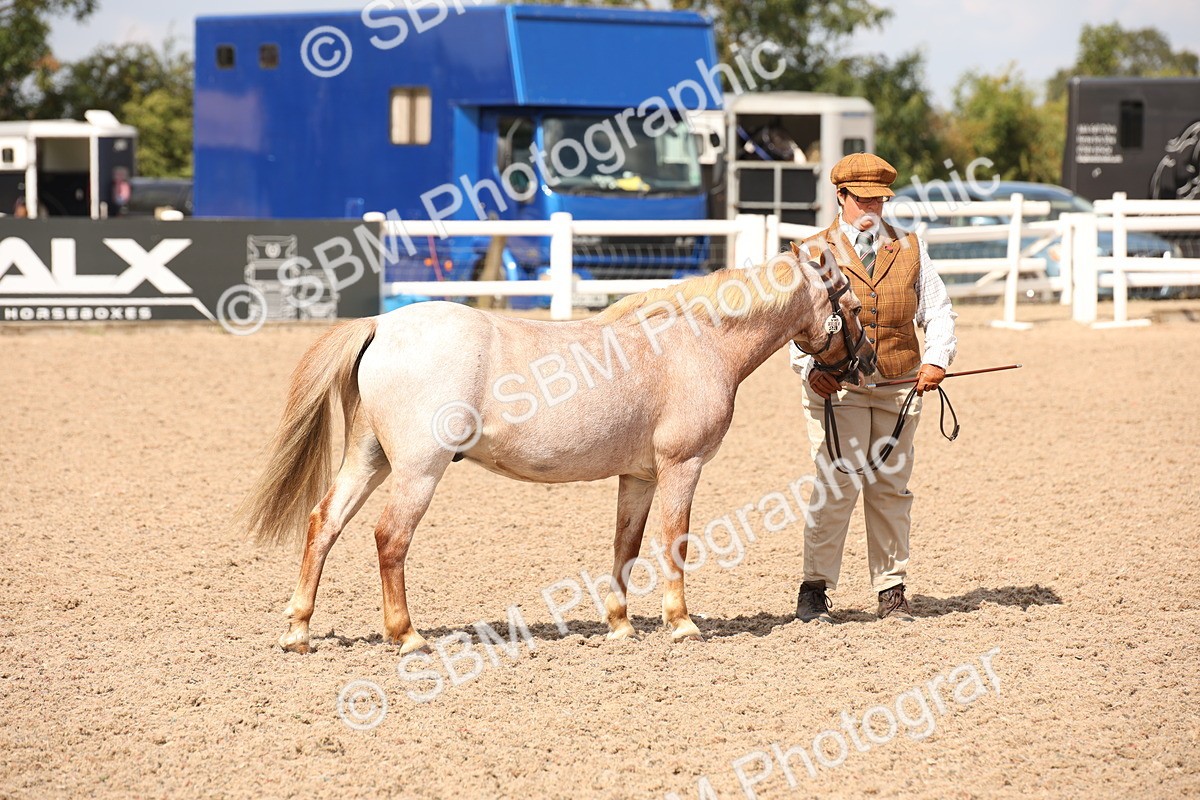 SBM_04530 - Class 20 IH Veteran