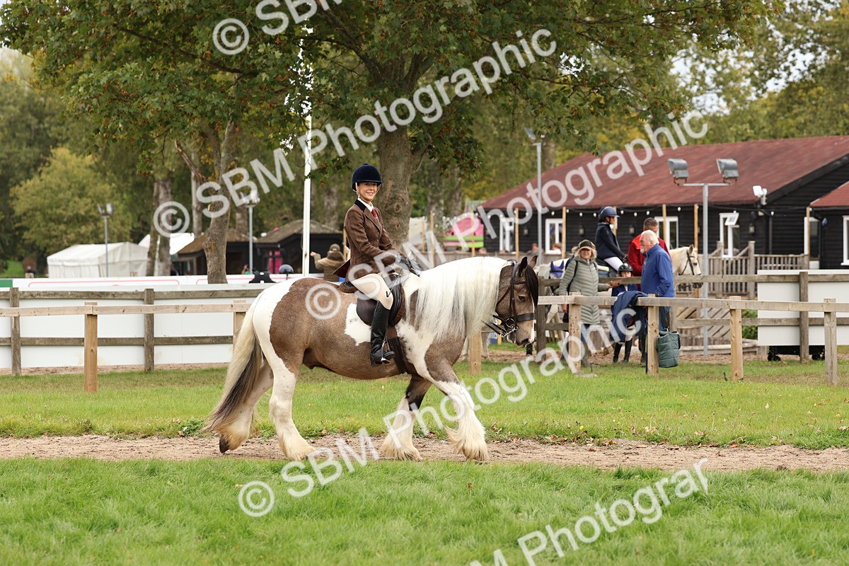 SBM_64386 - S58 - Coloured Pony Ridden