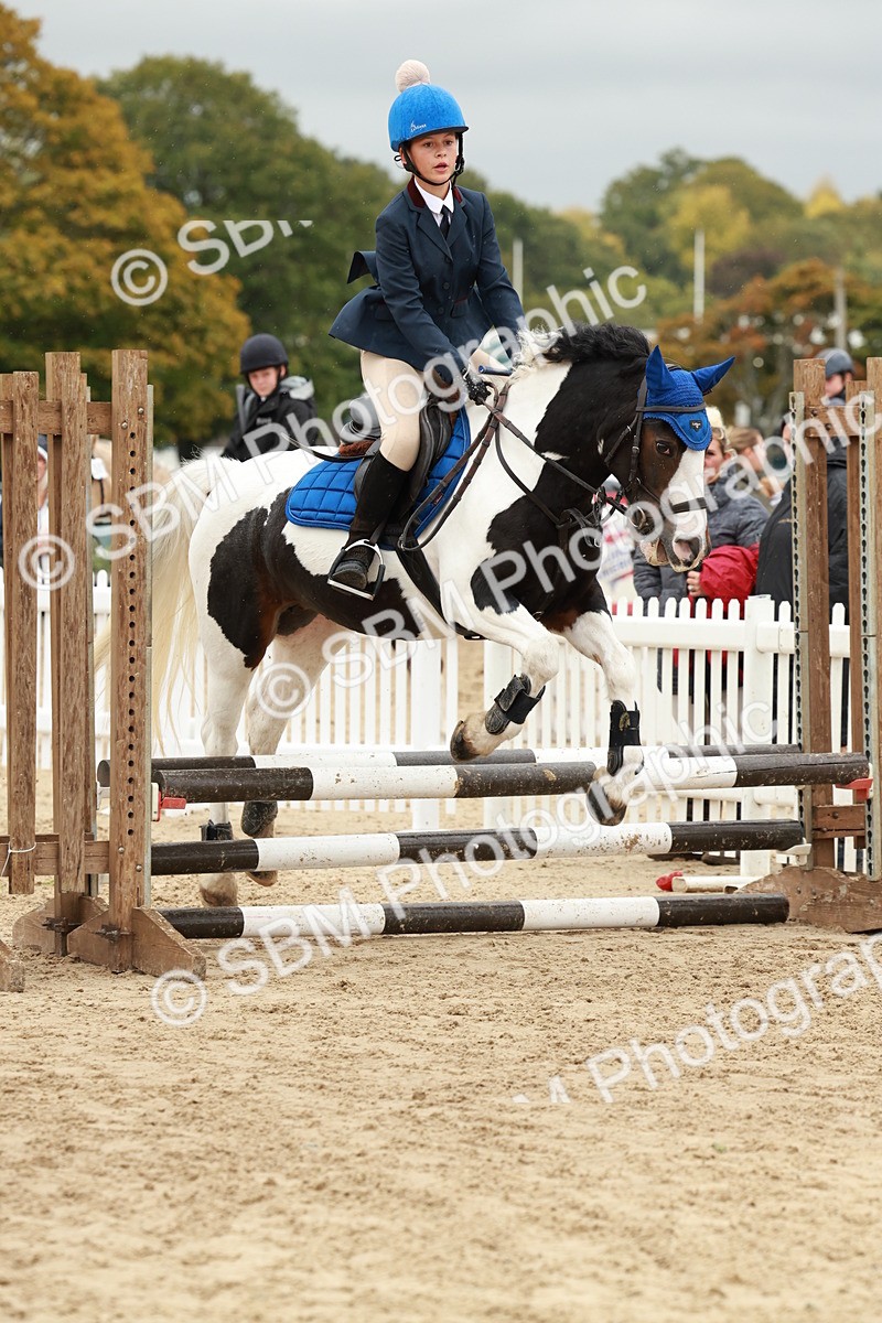 SBM_69087 - J13 - Junior Pony 60cm Championship