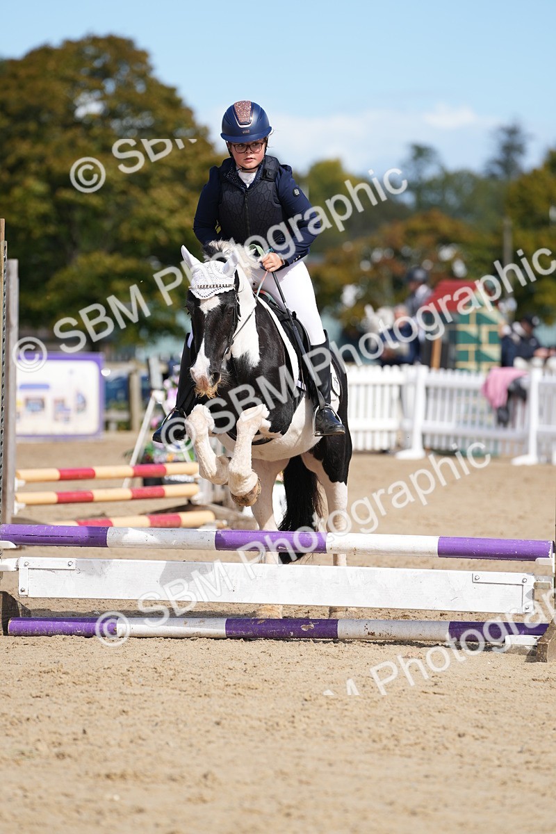 SBM_19864 - J49 - Open 50cm