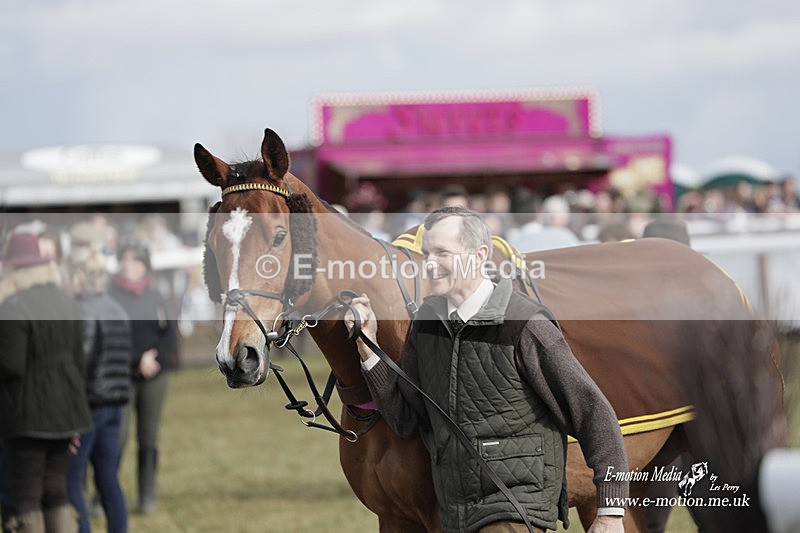PtP 180323 634 - Shelfield Park Races with Croome & West Warwickshire Hunt  18/03/23