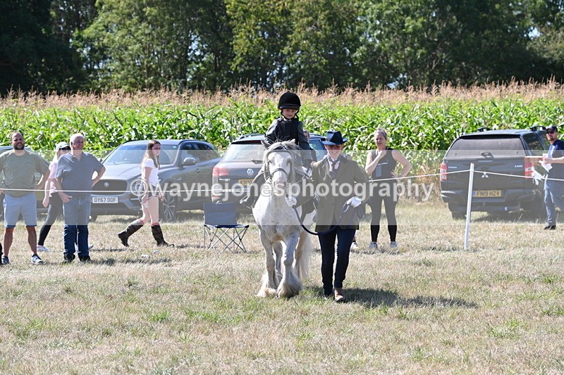 WJ6_7921 - Class 36 Lead Rein