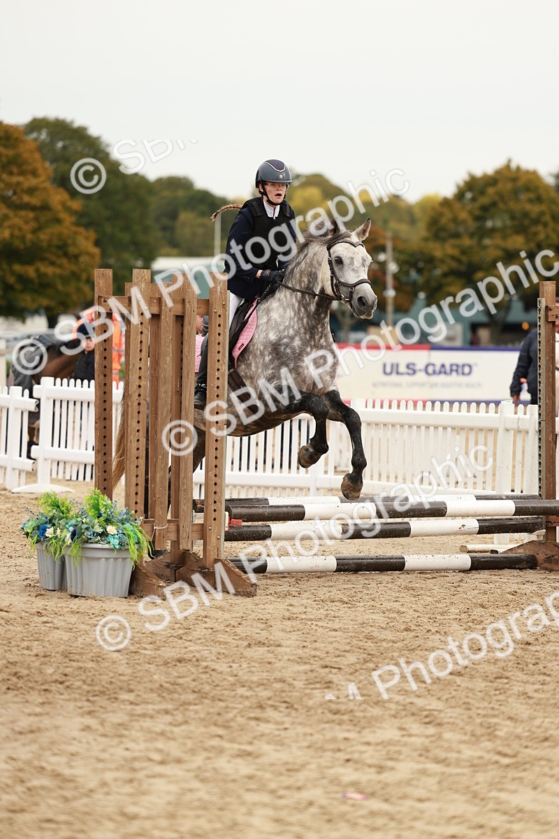 SBM_57990 - J11 - Junior Pony 50cm Championship