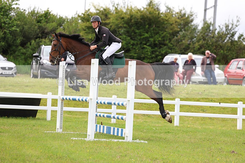 3E7A7782 - Class 13: Senior British Novice/90cm open