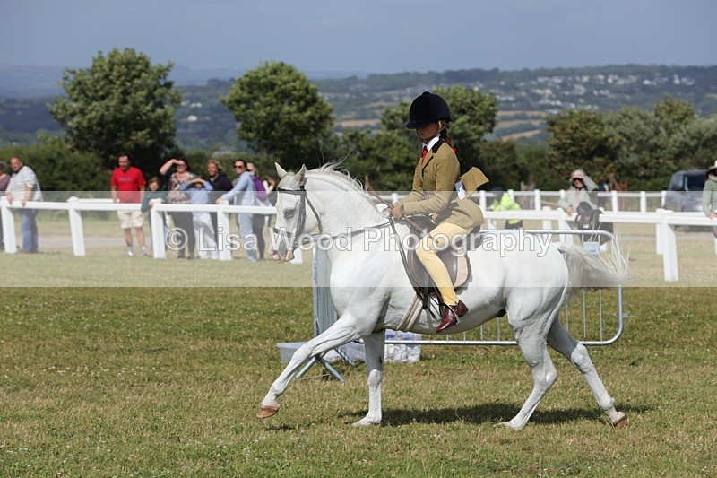 1X9A5765 - Class 40: NPS Welsh A & B