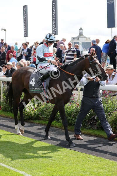yr18082021r4-49 - Race 4 3.35pm Juddmonte International Stakes (British Champion Series race)