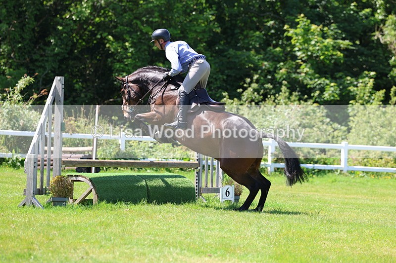 3E7A7037 - Class 30: Novice Working Hunter
