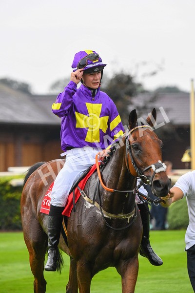 100923-Pony Race 2-Its Fatherted-0330 - Pony Race 2 12.45 The Dragon (TV and Film) Studios Pony Race 148cm & Under