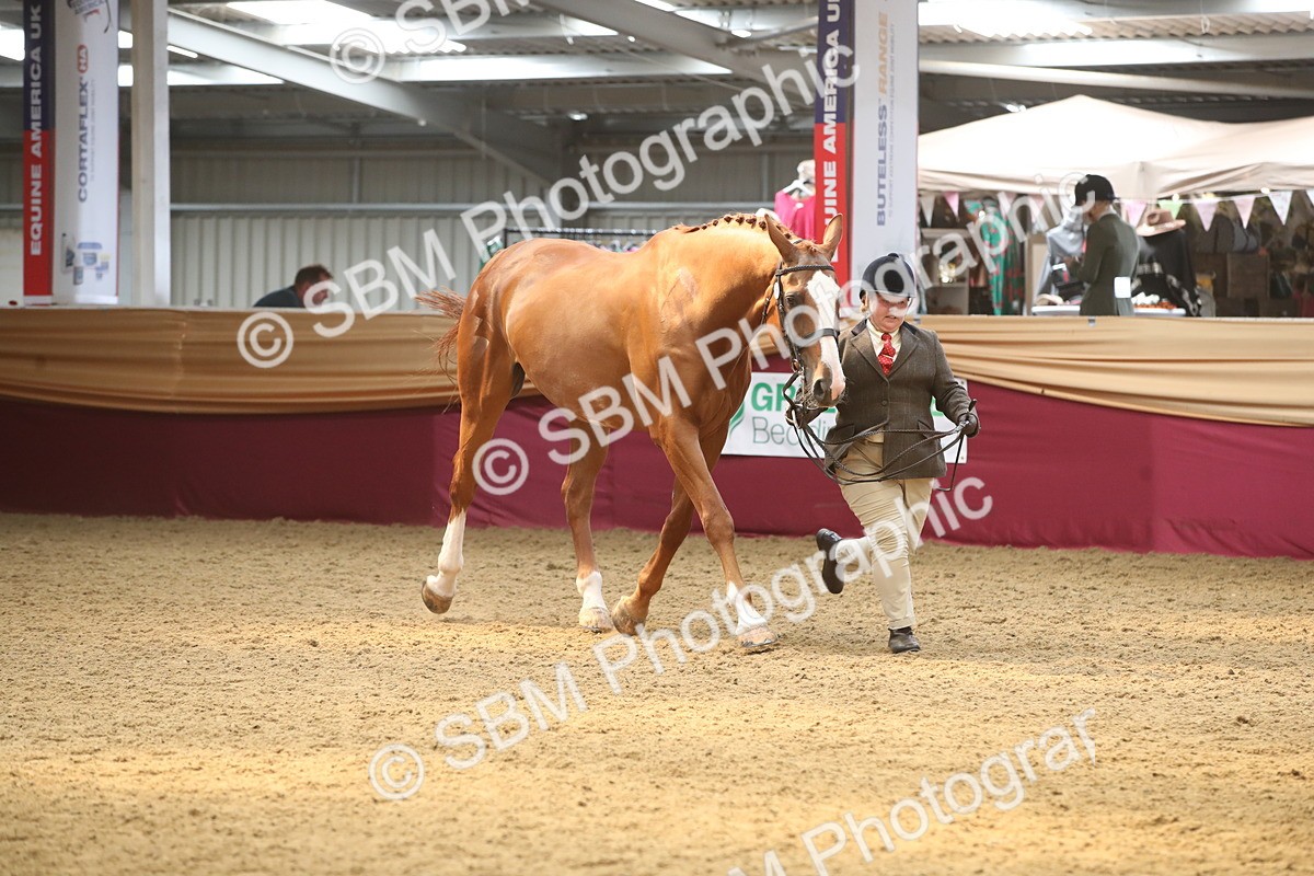 SBM_05630 - Class 9R - Regional IH Pre-Vet