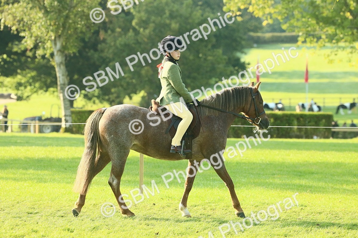 SBM_59127 - S38 - Starters Ridden Showing