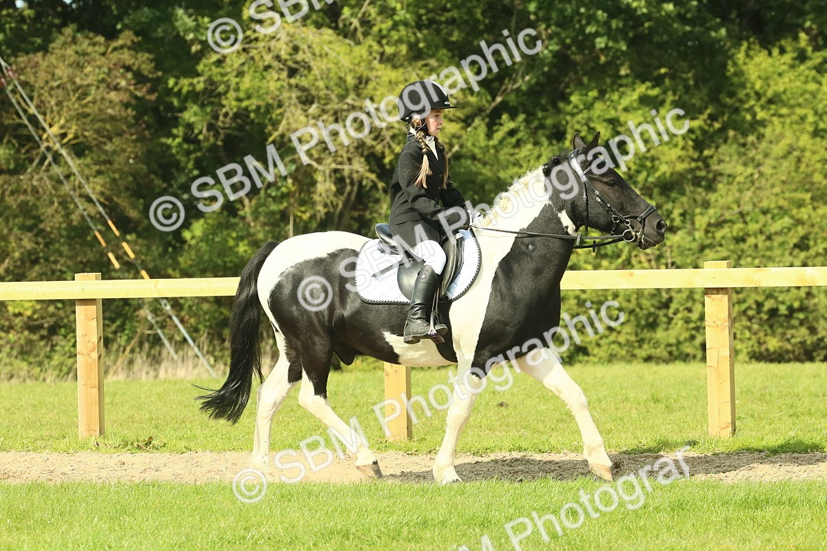 SBM_67413 - S56 - Coloured Pony Ridden
