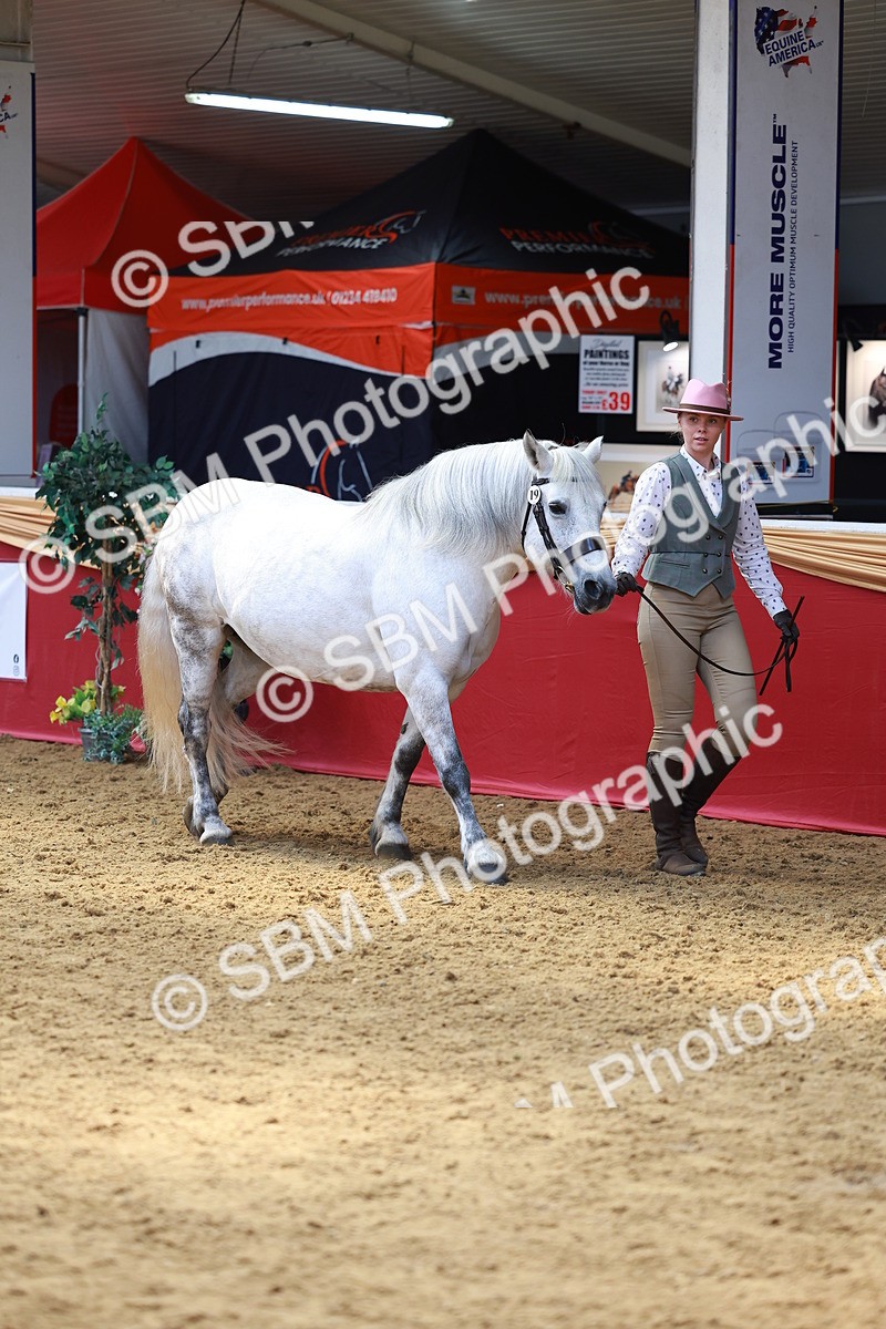 SBM_04074 - Class 9R - IH Pre-Vet