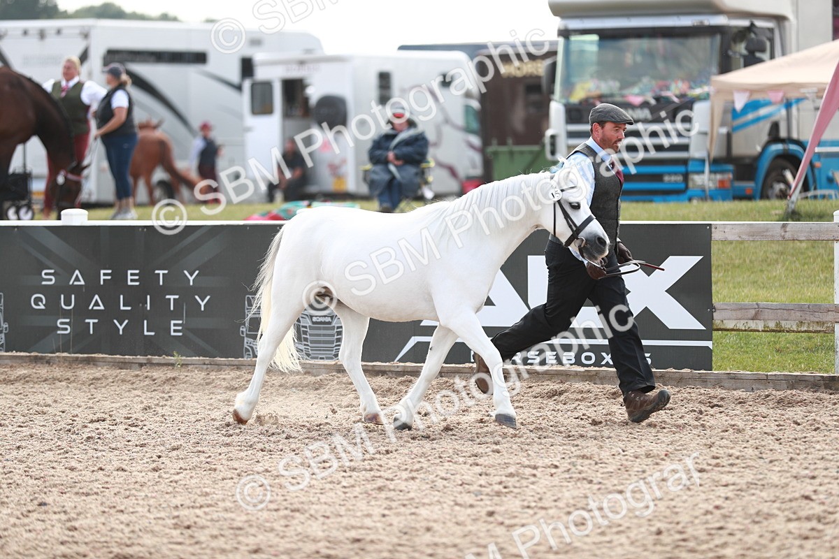 SBM_13829 - Class 209 IH Veteran Pony