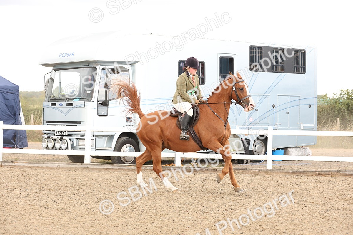 SBM_07530 - Class 59a -  Style & Performance - 80cm (15-19)