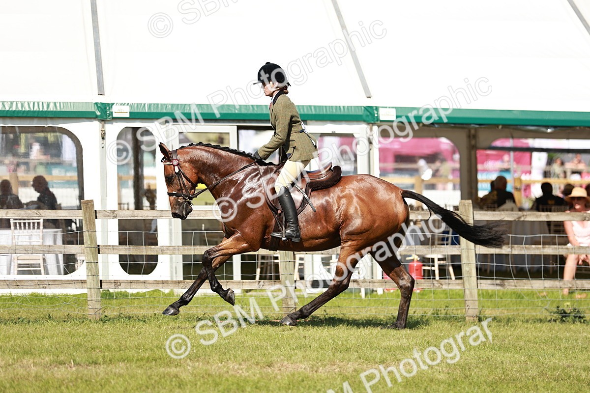 SBM_18891 - Class 114 - RIHS & SEIB Open Working Show Horse