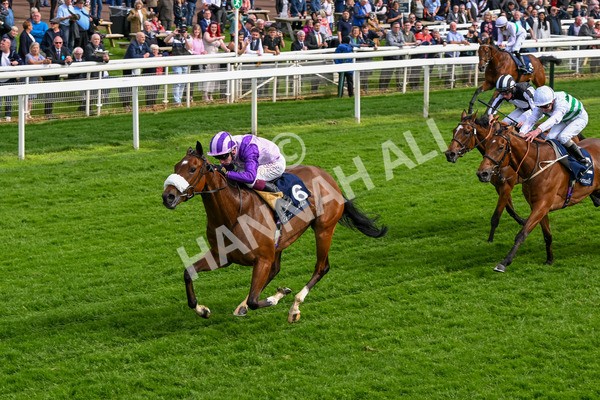 150524-Race 4-Secret Satire-4240 - Race 4 3.45pm Tattersalls Musidora Stakes