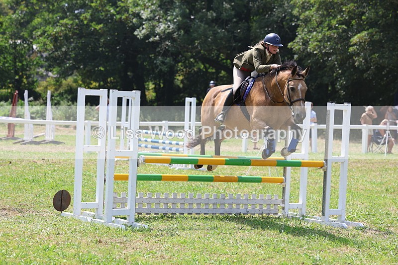 3E7A2996 - Class 7: Senior British Novice/90cm open
