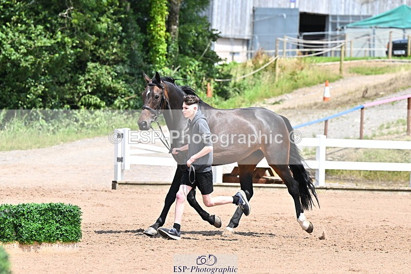 240718A-105314-01742 - Trot Up 1pm to 2pm