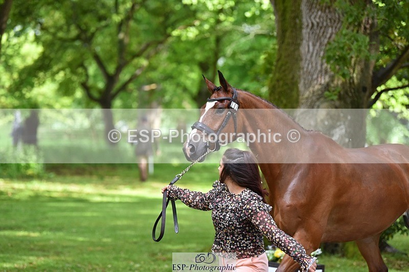 240522-153810-00485 - 382-WIL_JACK_B_KING-Charlotte_Parry-Ashcroft