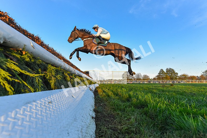 221124-Race 6-Presentandcounting-9171 - Race 6