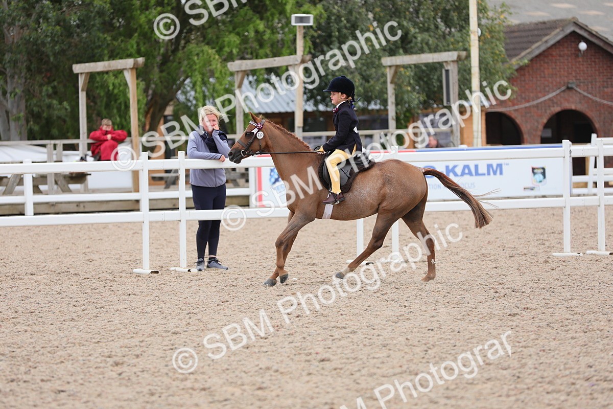 SBM_18135 - Class 316 Best Pony/Rider Combination