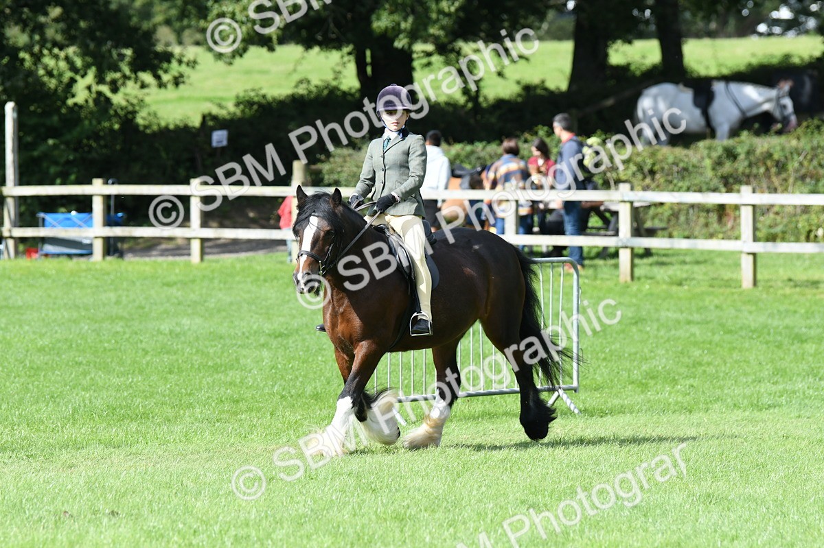 SBM_46910 - S12 - Family Horse & Pony