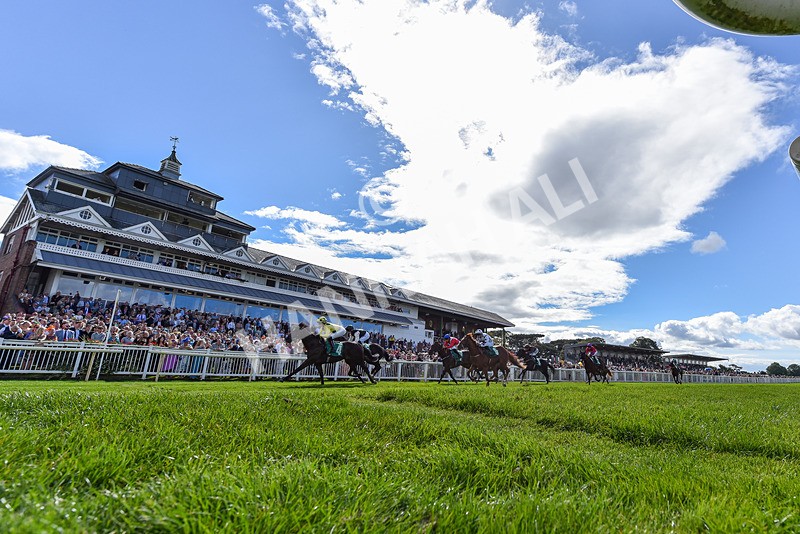 050926-Race 2-This Moment-6826 - Race 2 2.05pm JW4X4 Northallerton Nursery Handicap