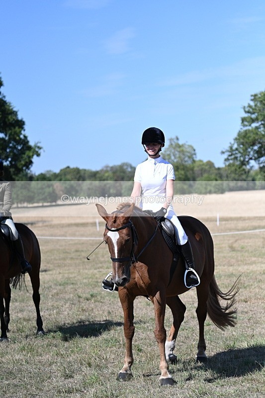 WJ7_1283 - Class 41 Prettiest Mare