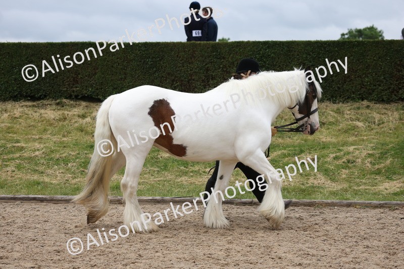 20250524-0604 - Class 7 - Veteran