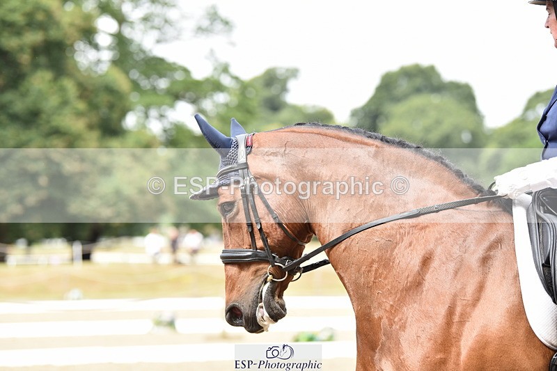 140110A-004118-10697 - 137-Debbie.Dyke-The.Trojan