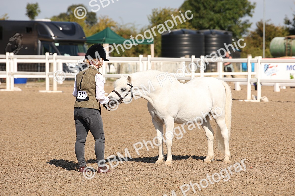 SBM_02720 - Class 16 IH M&M Wildcard