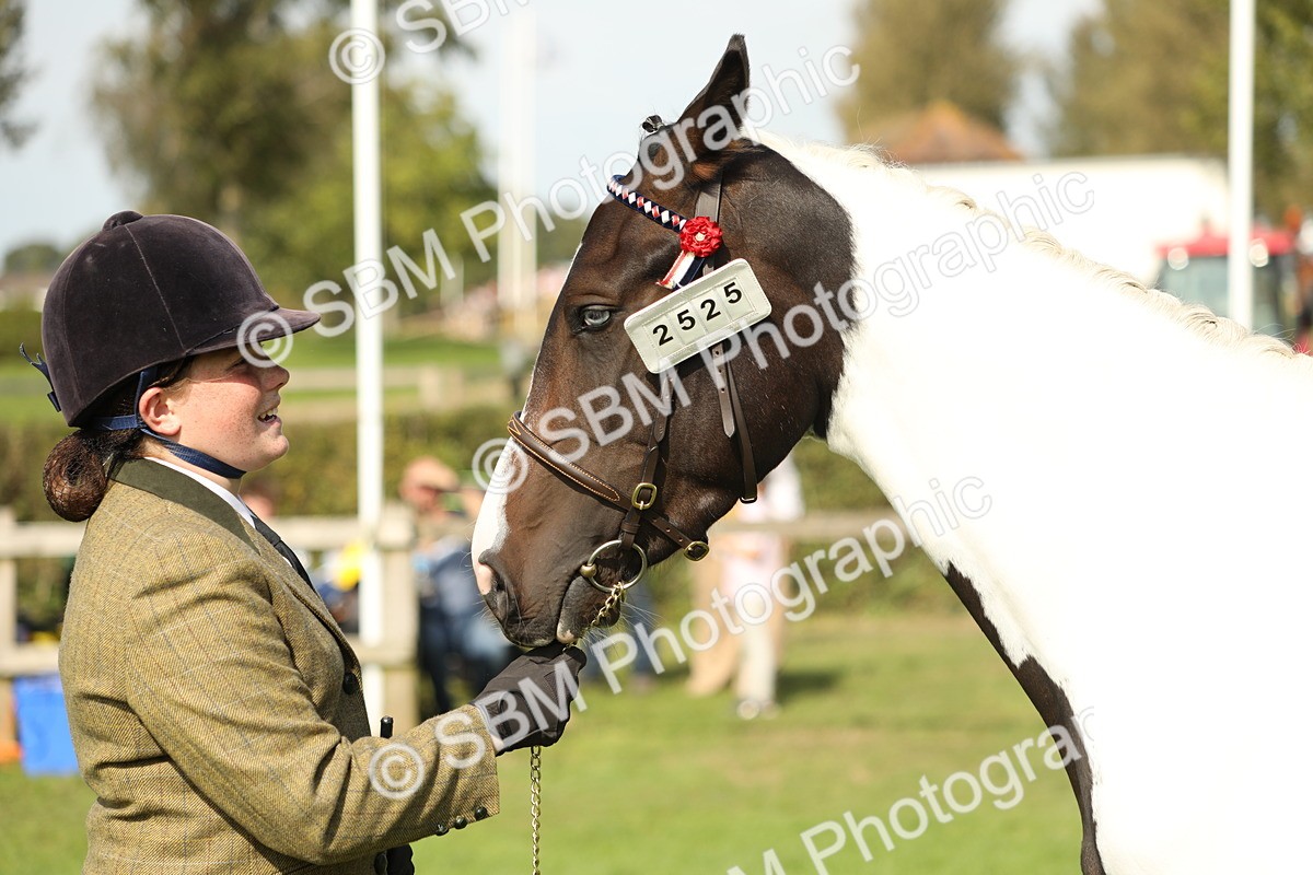 SBM_68630 - S40 - Junior Handler 9-12 Years
