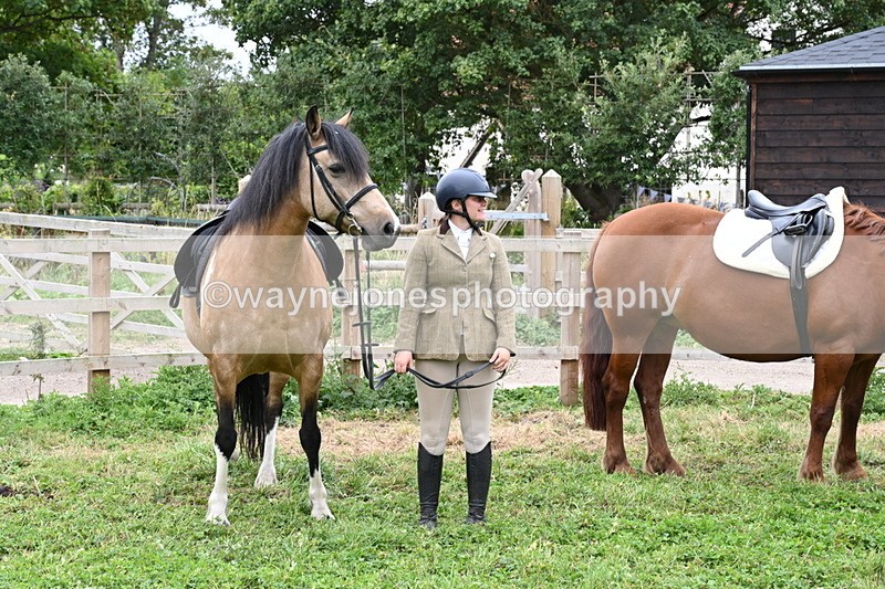 WJ6_2865 - Berks & Bucks - The Old farmhouse - Hound Exercise 20-08-25