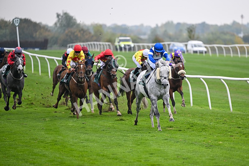 181025-Race 5-Mudamer-0821 - Race 5